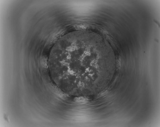 X0000100390331200806130957