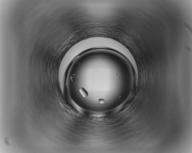 X0000100390332200806130957