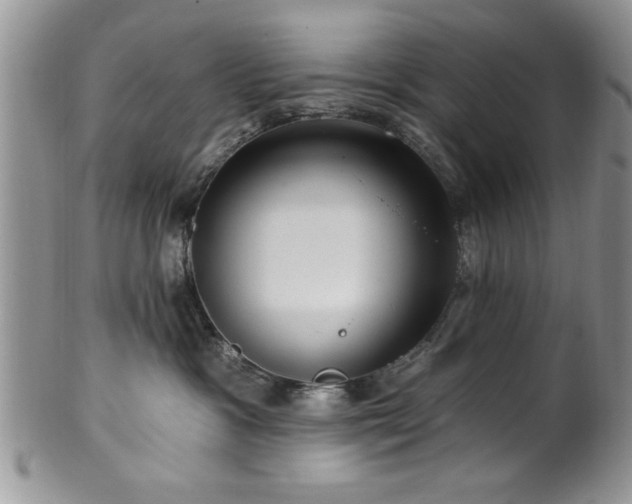 X0000100390333200806130957