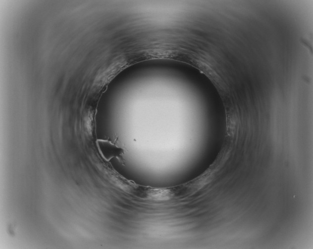 X0000100390334200806130957