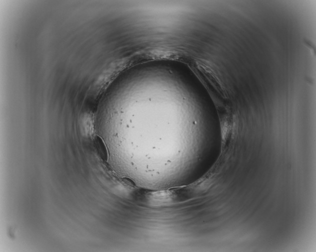 X0000100390335200806130957