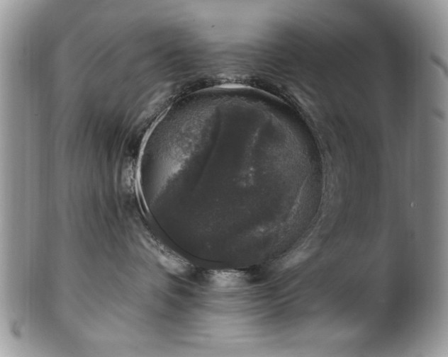 X0000100390336200806130957