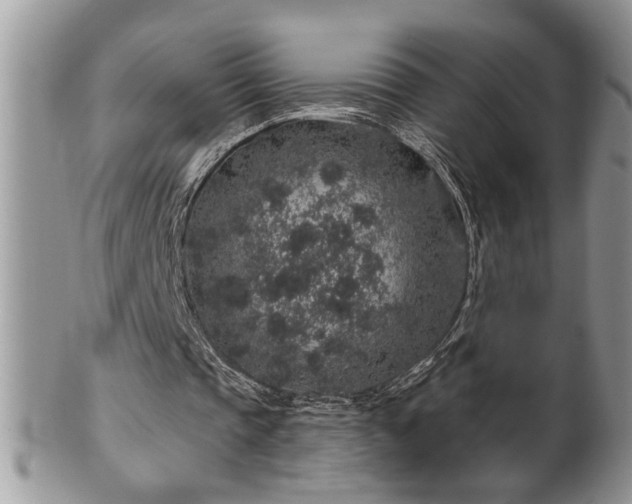 X0000100390337200806130957