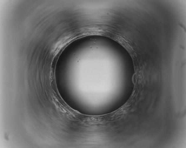 X0000100390338200806130957