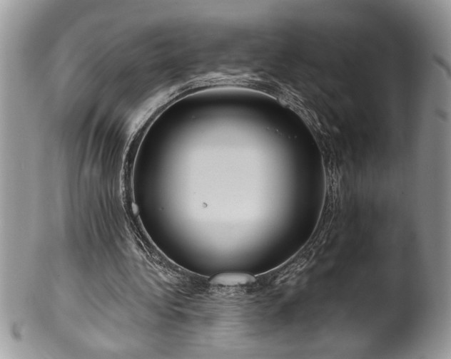 X0000100390340200806130957