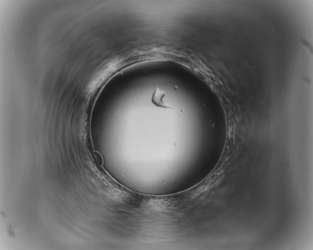 X0000100390341200806130957