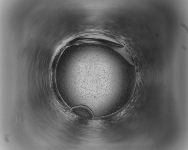 X0000100390342200806130957