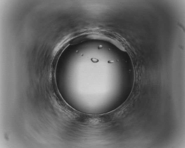 X0000100390344200806130957