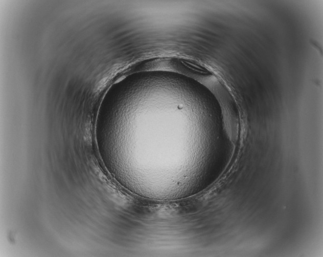 X0000100390345200806130957