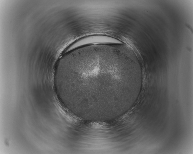 X0000100390346200806130957