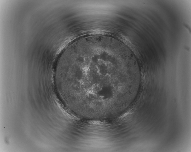 X0000100390347200806130957