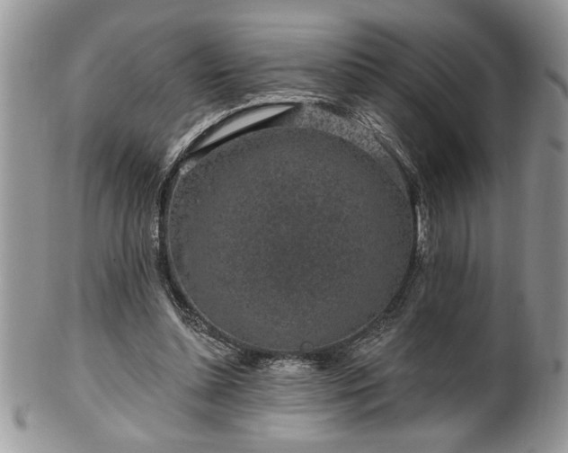 X0000100390348200806130957