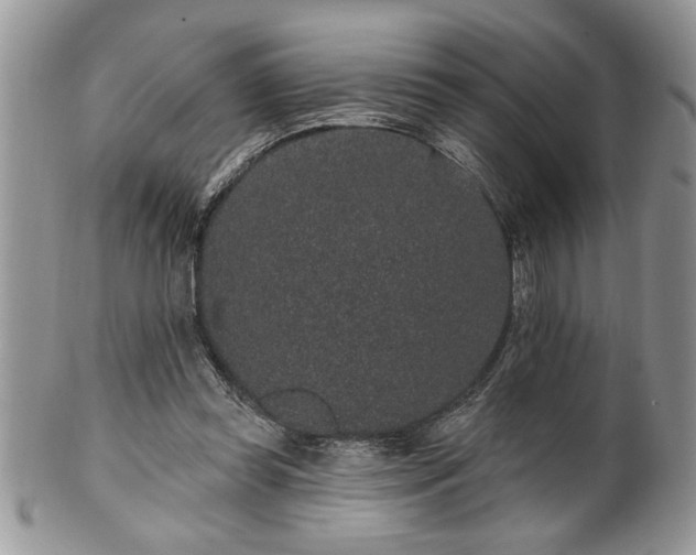 X0000100390349200806130957