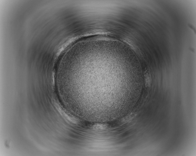 X0000100390350200806130957