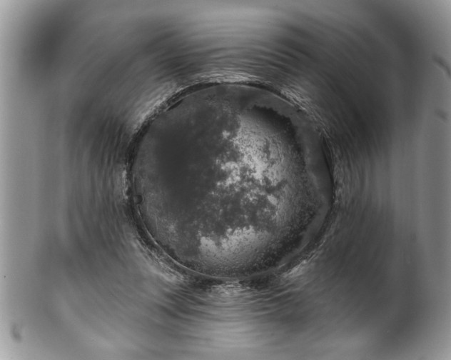 X0000100390351200806130957