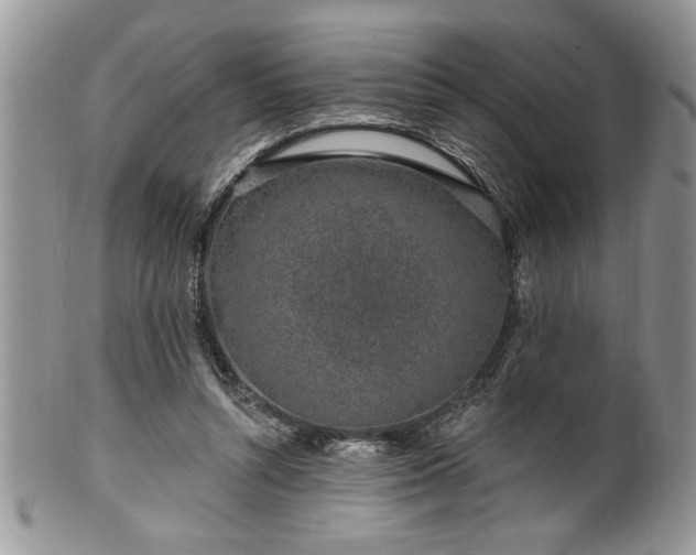 X0000100390352200806130957