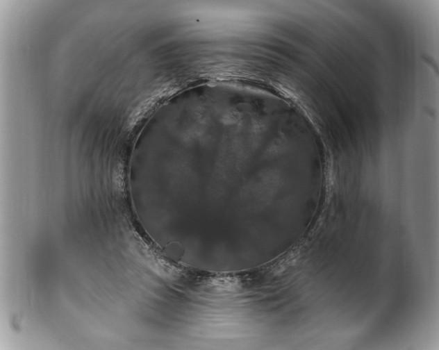 X0000100390353200806130957