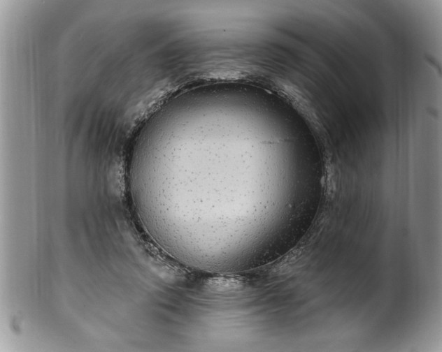 X0000100390354200806130957