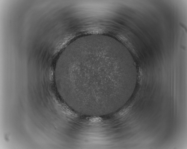 X0000100390355200806130957