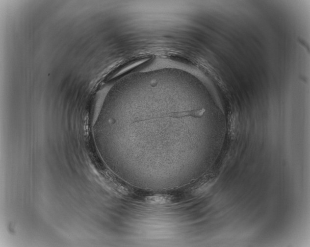 X0000100390356200806130957