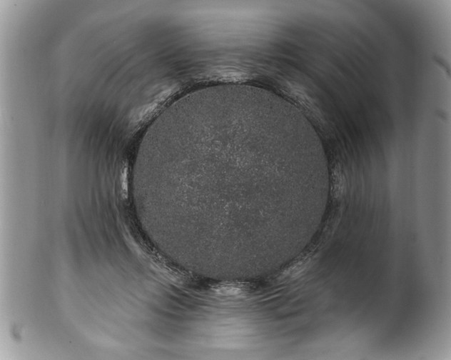 X0000100390358200806130957