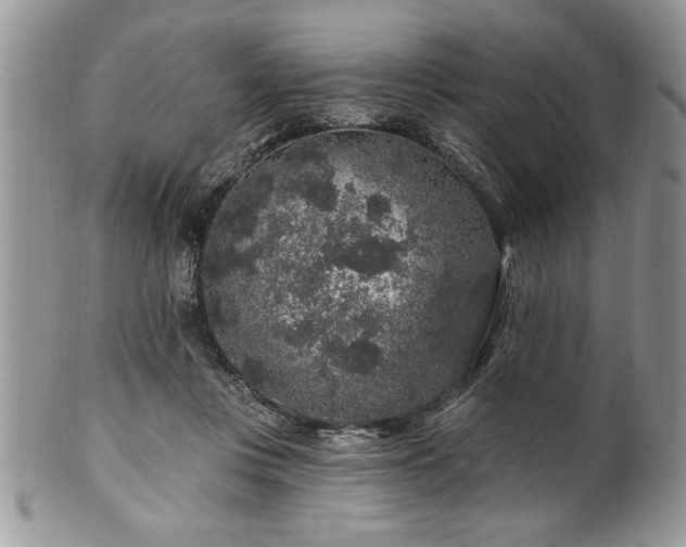 X0000100390359200806130957