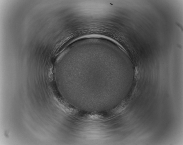 X0000100390360200806130957