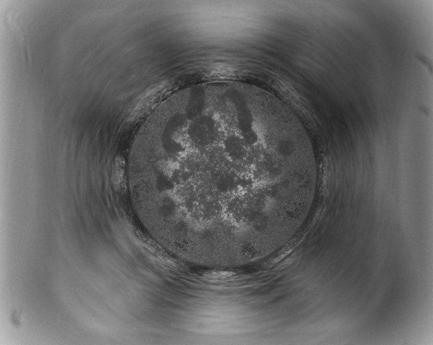 X0000100390361200806130957