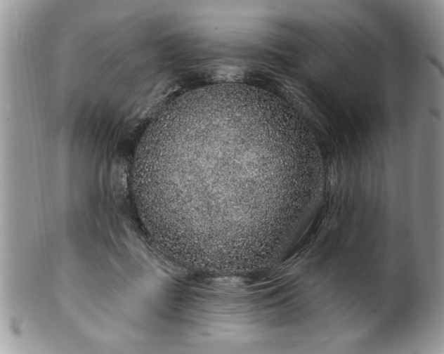 X0000100390363200806130957