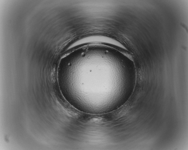 X0000100390364200806130957