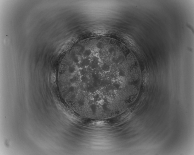 X0000100390365200806130957