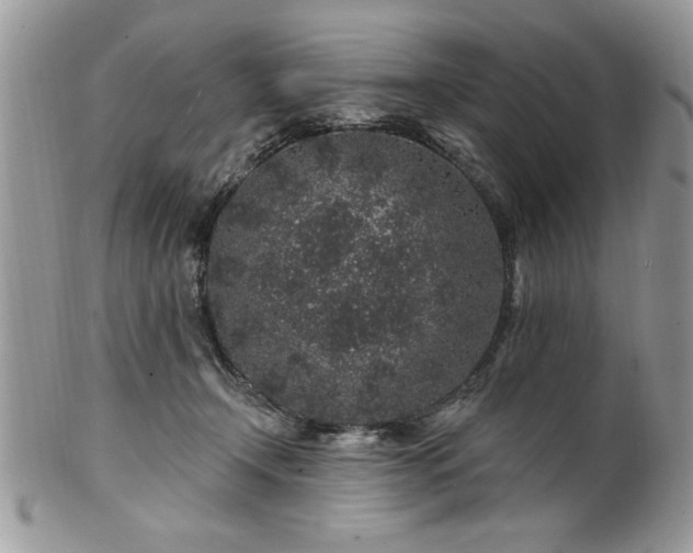 X0000100390366200806130957