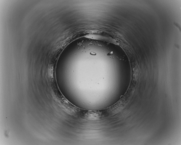 X0000100390368200806130957