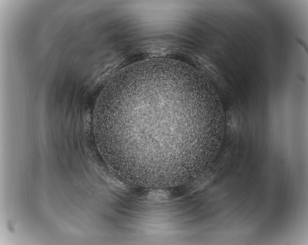 X0000100390369200806130957