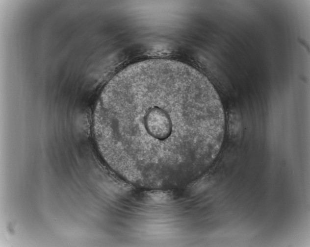 X0000100390370200806130957