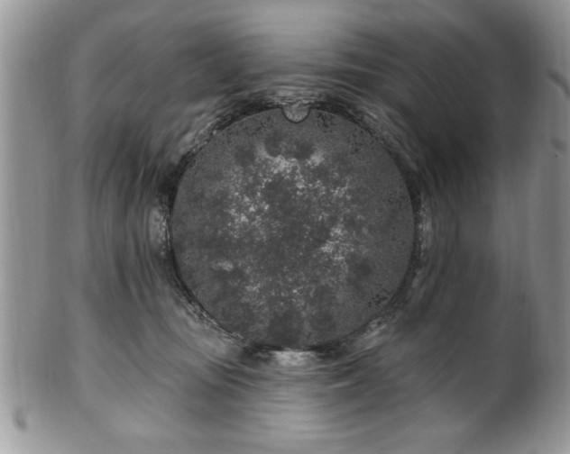 X0000100390371200806130957