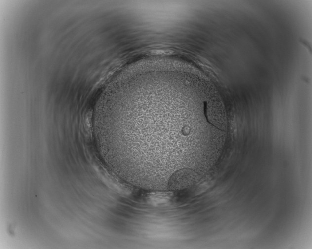 X0000100390373200806130957