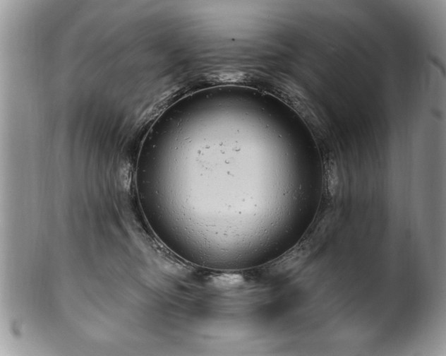 X0000100390374200806130957