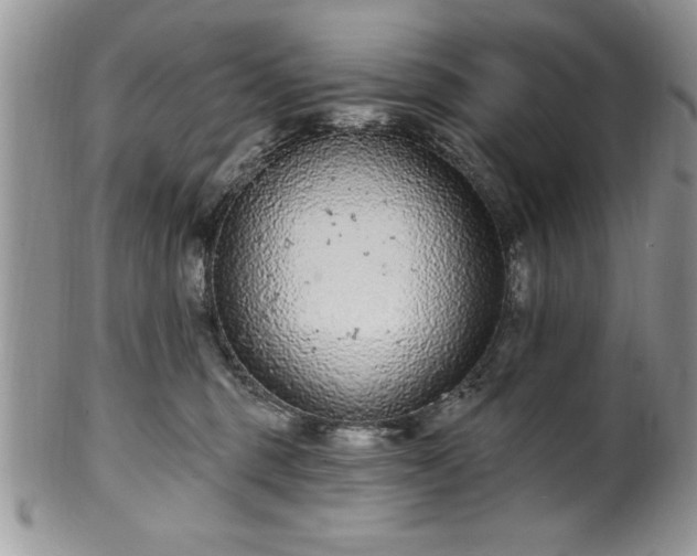 X0000100390375200806130957