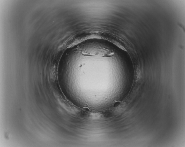 X0000100390376200806130957