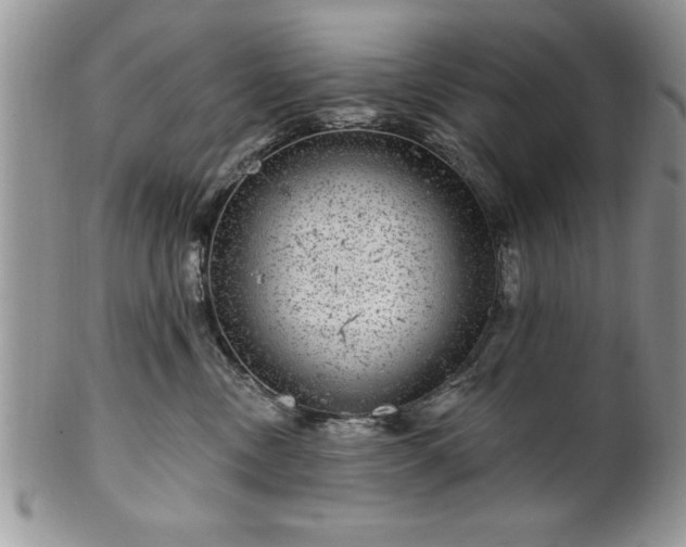 X0000100390378200806130957