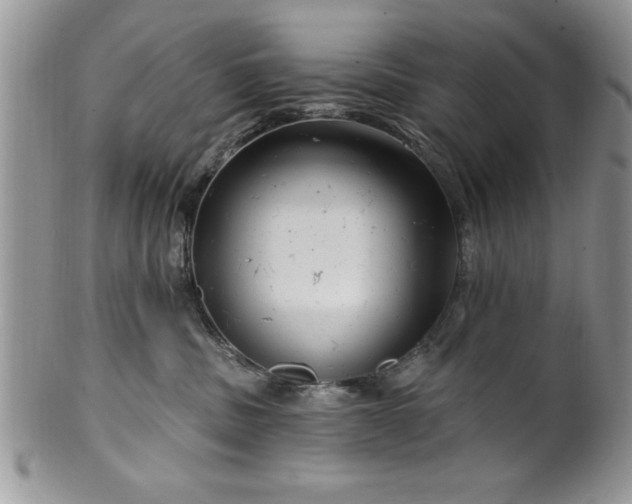 X0000100390379200806130957