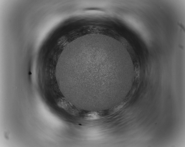 X0000100390381200806130957