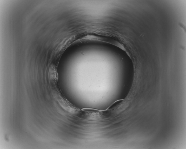 X0000100390384200806130957