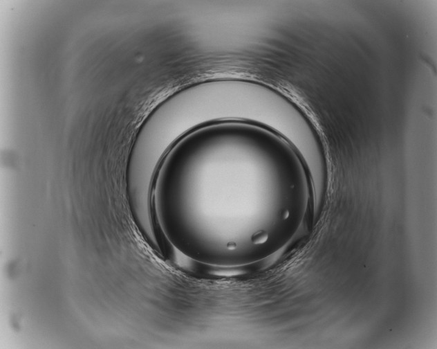 X0000100390385200806130957