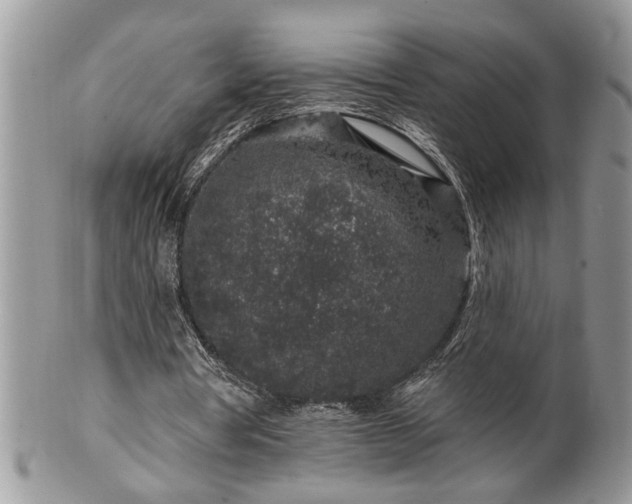 X0000100390386200806130957