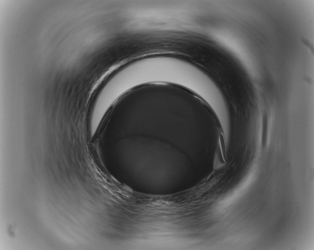 X0000100390387200806130957