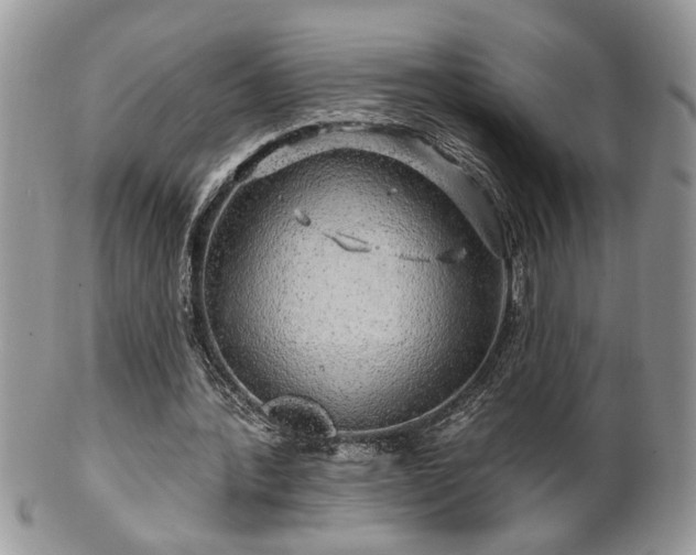 X0000100390388200806130957