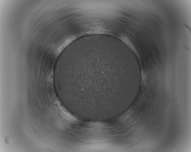 X0000100390389200806130957