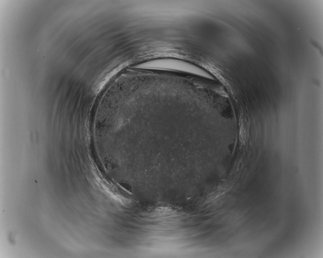 X0000100390390200806130957